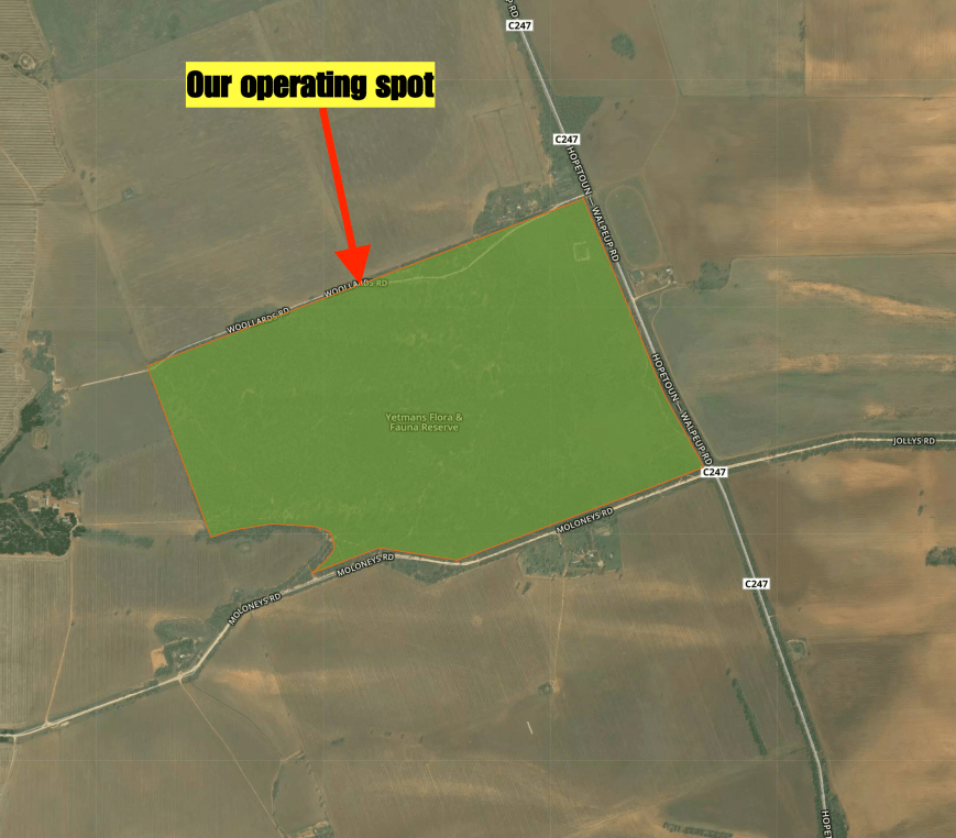 Screen Shot 2019-11-13 at 8.22.31 pm.png