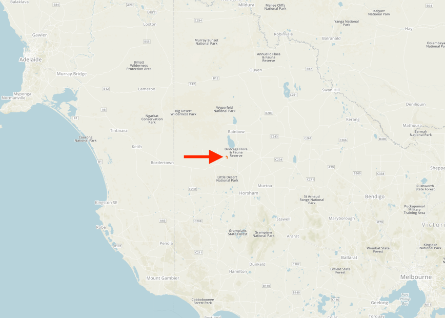 Screen Shot 2019-12-10 at 7.48.44 pm.png