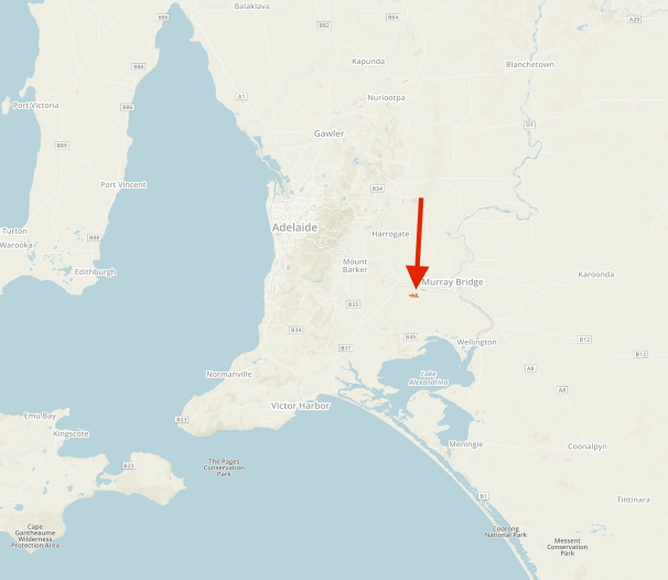 Screen Shot 2020-03-24 at 4.18.59 pm