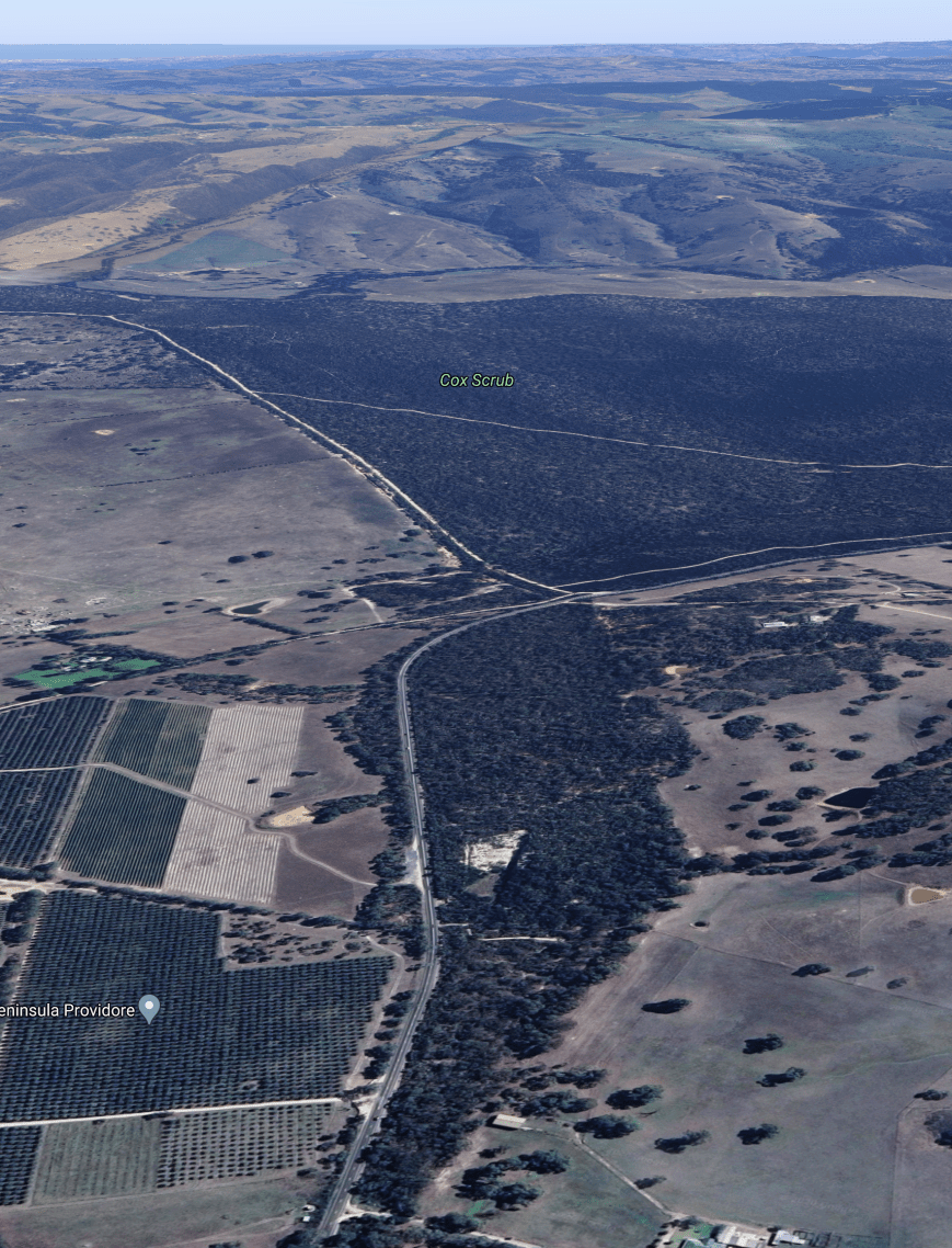 Screen Shot 2020-07-19 at 5.21.58 pm