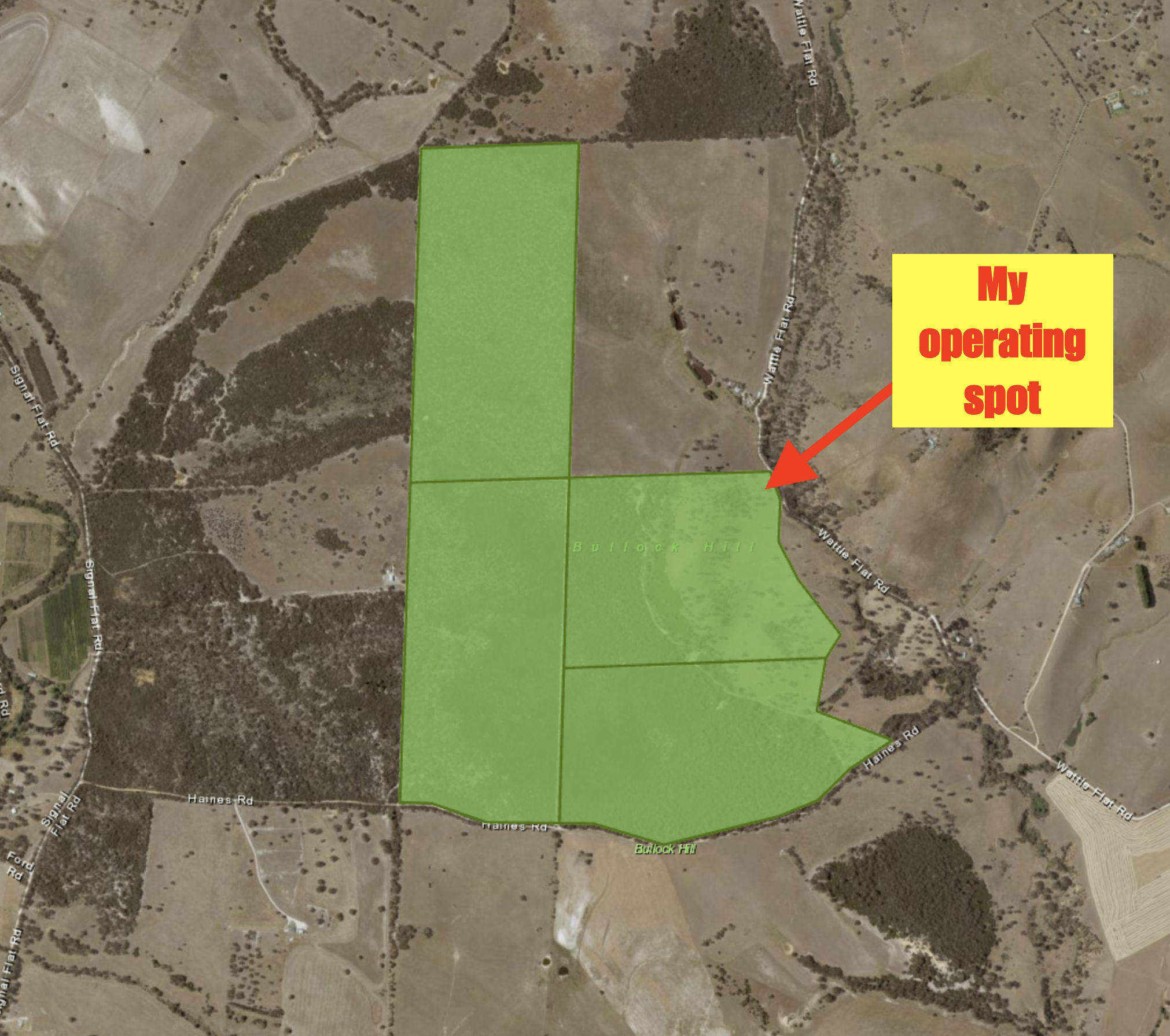 Screen Shot 2020-08-03 at 7.21.28 pm