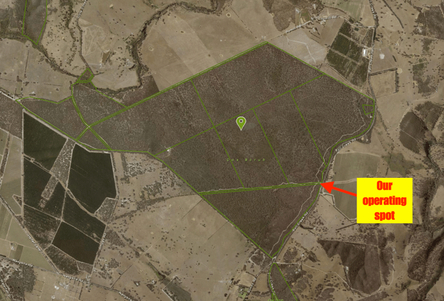 Screen Shot 2020-08-04 at 7.54.38 pm