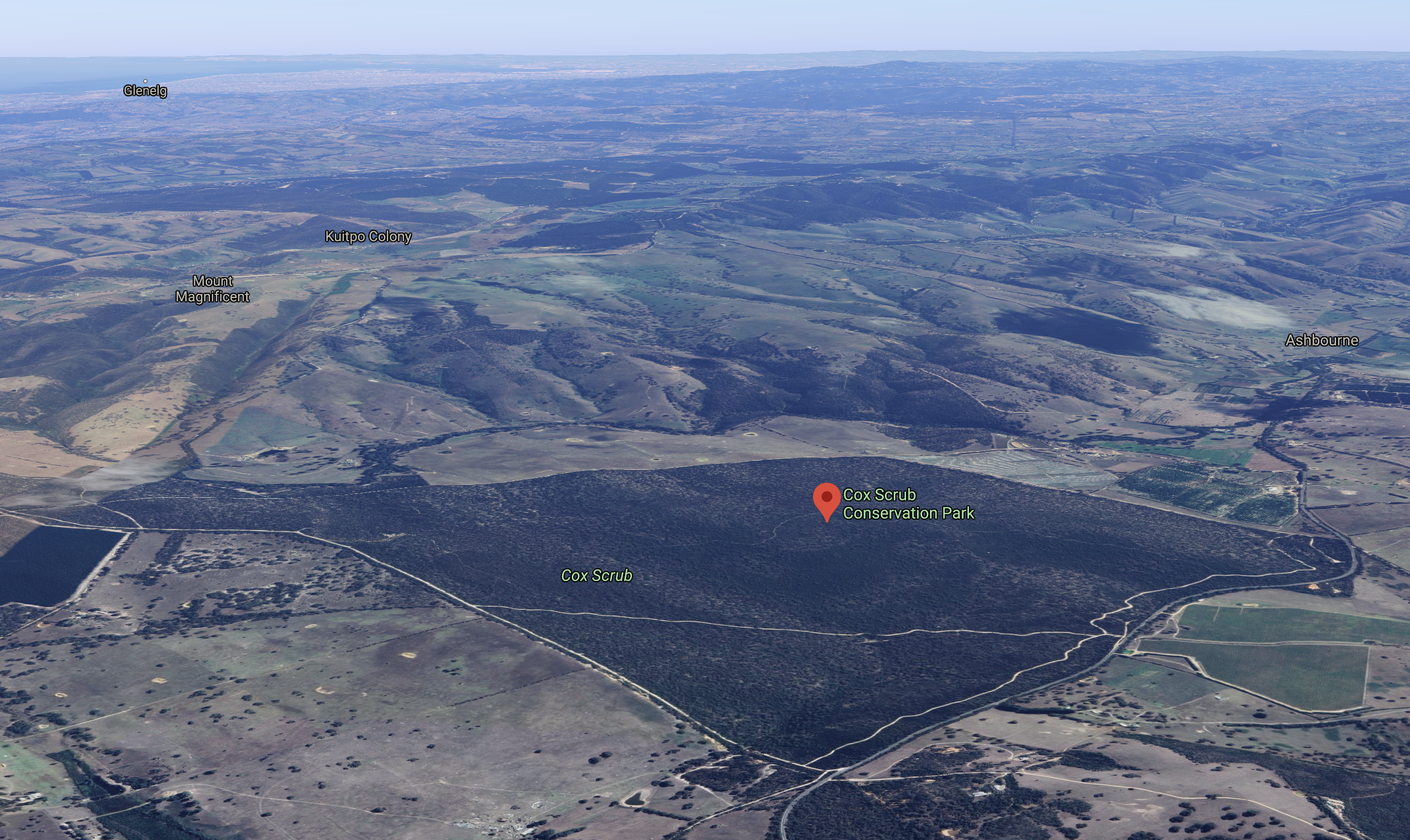 Screen Shot 2020-08-04 at 9.19.07 pm