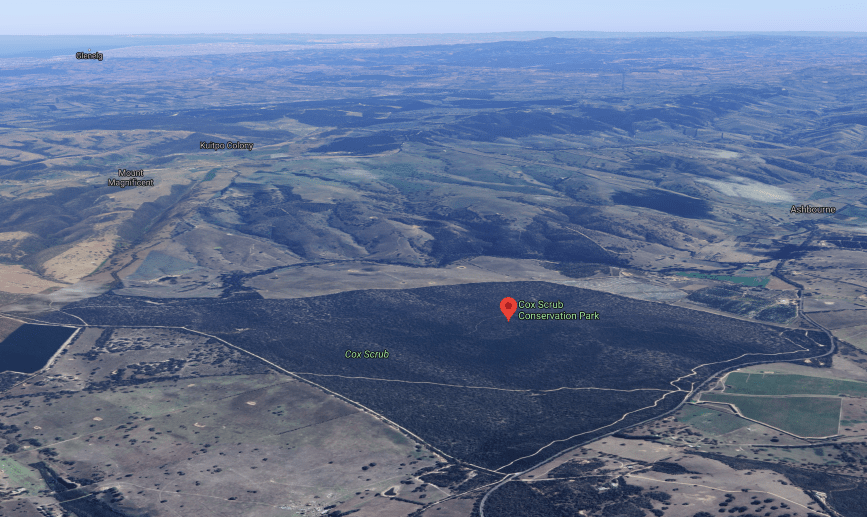 Screen Shot 2020-08-04 at 9.19.07 pm