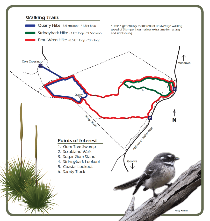 Screen Shot 2020-08-04 at 9.25.09 pm